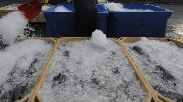 Ice is used by trawlers to keep fish catches fresh at sea