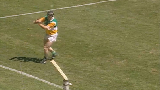 All Ireland Hurling Semi Final (1995)