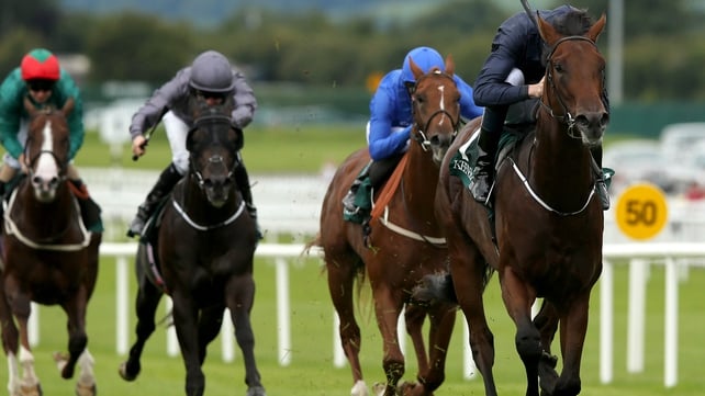 Air Force Blue was an impressive winner of the Phoenix Stakes on his most recent outing