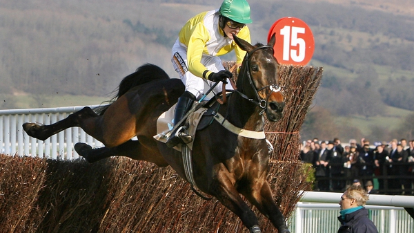 Andrew McNamara famously enjoyed victory in the Queen Mother Champion Chase with Newmill in 2006