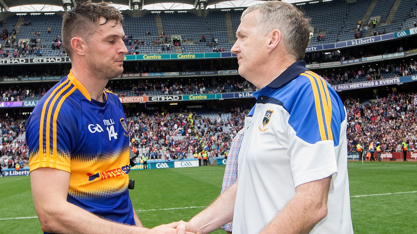 Eamon O'shea: Seamus Callanan Needed More Support