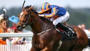Aidan O'Brien's stable star had been expected to be withdrawn if ground conditions worsened