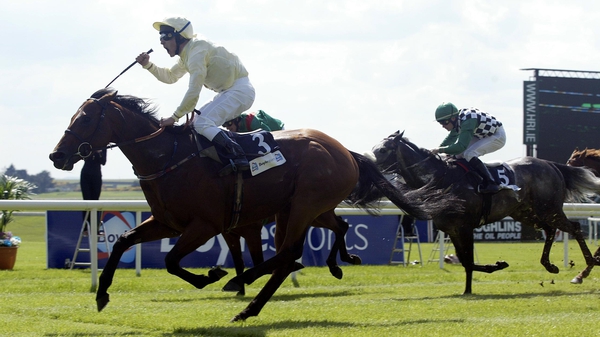 Bachelor Duke's win at the Irish 2,000 Guineas was the highlight of James Toller's career