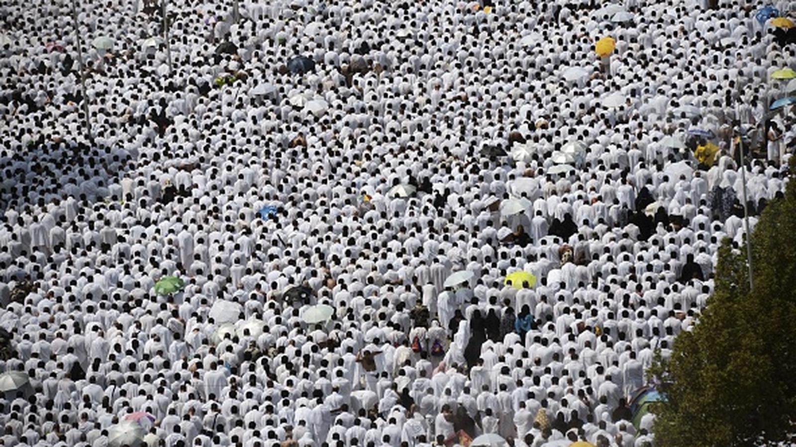 Image - Pilgrims on Mount Arafat during the Hajj
