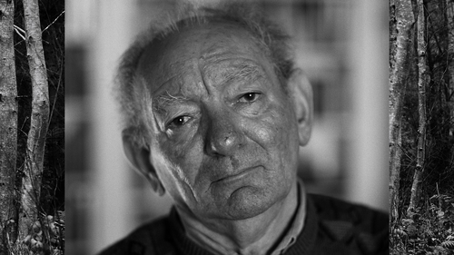 Brian Friel wrote over 30 plays (Picture courtesy of Bobbie Hanvey)