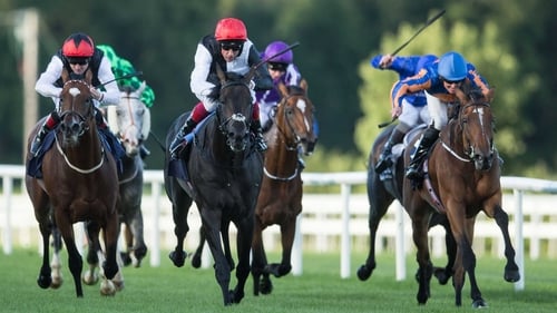 Irish Champions Stakes winner Golden Horn will face Found and Free Eagle for a second time in less than a month on Sunday