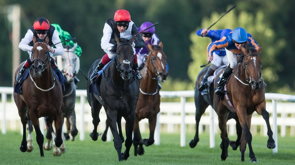Found was third behind Golden Horn in last month's Irish Champion Stakes before finishing ninth in the Prix de l'Arc de Triomphe
