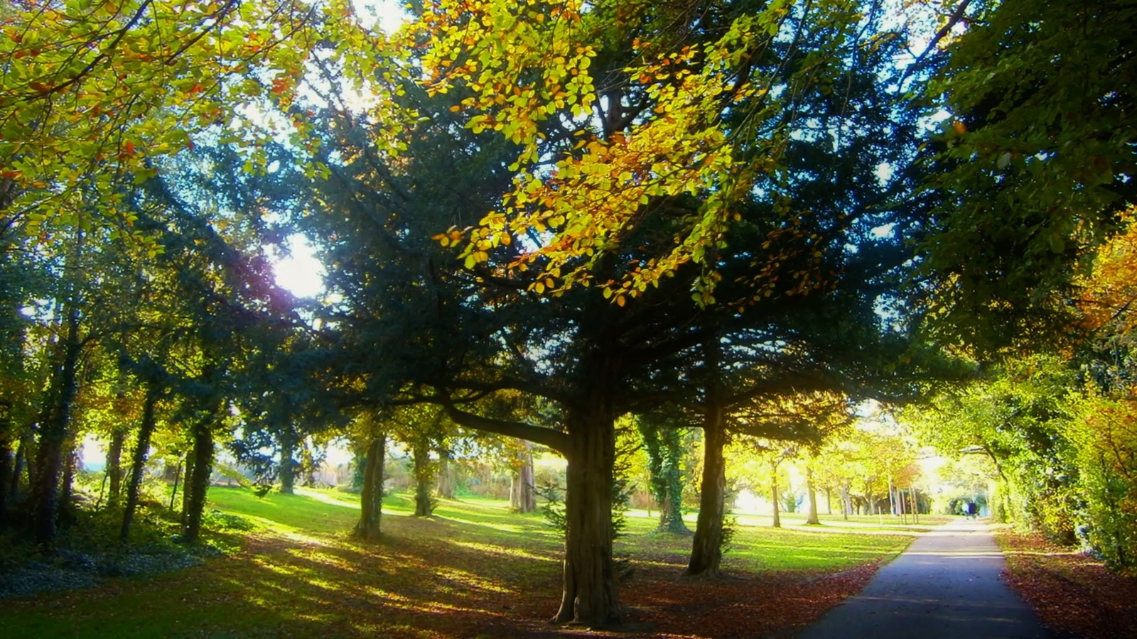 Ireland in Pictures