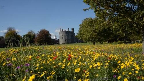 Kilkenny Castle. Photo: Kevin Lonergan