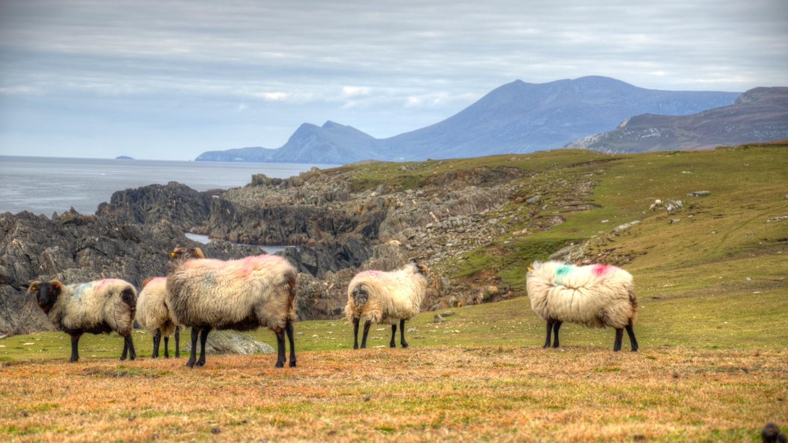 Ireland in Pictures