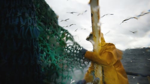 The ITF claims fishermen working on permits issued under the scheme have been exploited