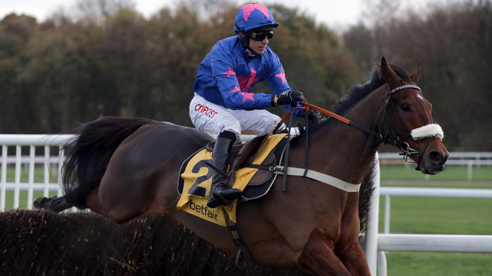 Cheltenham Gold Cup preview