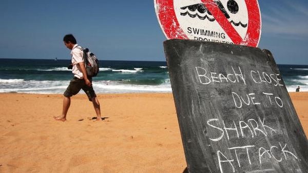 13 people have been attacked on the mid-north coast of New South Wales this year