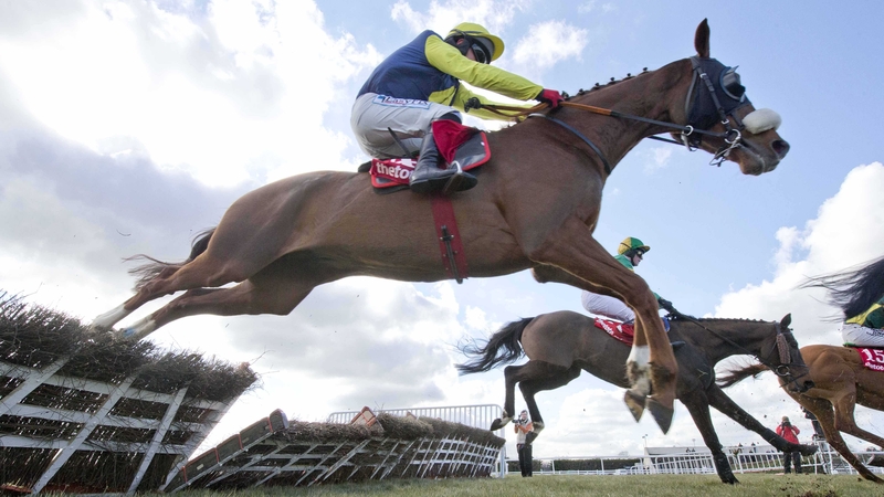 Shadow Catcher in action at Fairyhouse