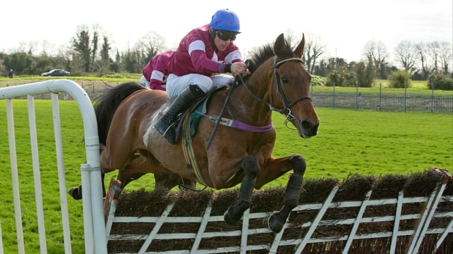 Valseur Lido clears the last to win the Rathbarry & Glenview Studs Novice Hurdle 