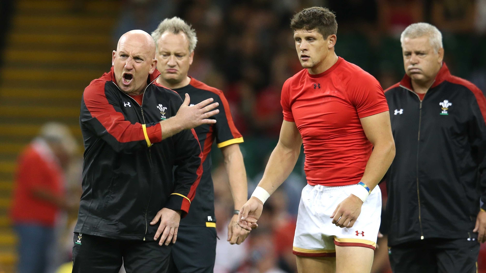 Shaun Edwards extends Wales coaching contract