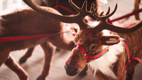 The reindeer possesses unqiue and invaluable skills for putting in a serious shift on Christmas Eve