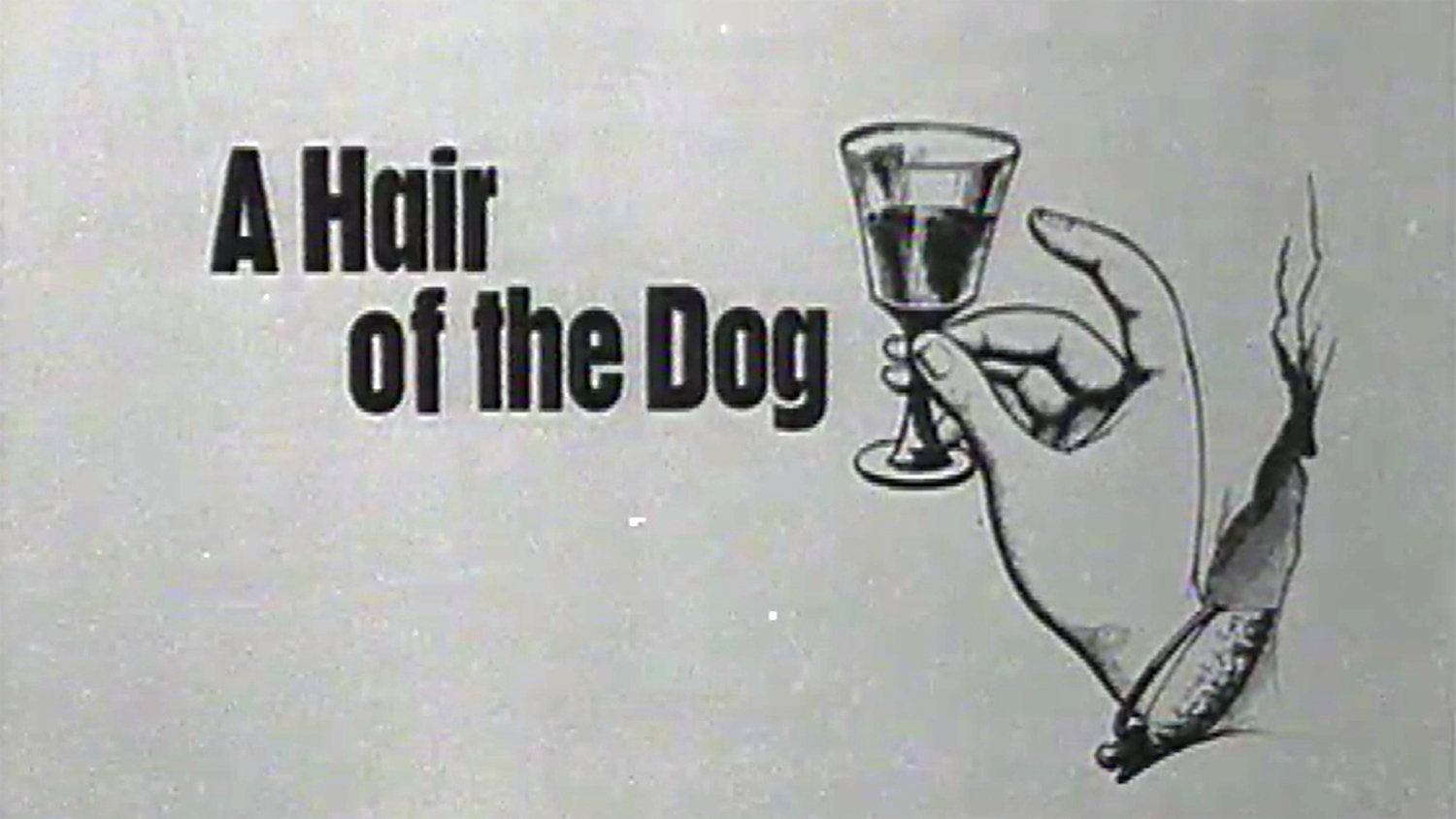 RTÉ Archives Lifestyle Hair of the Dog