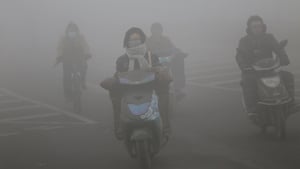 The Chinese government's war against winter smog has dented factory demand for raw materials