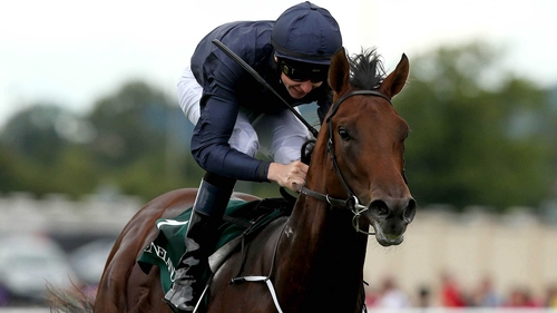 Air Force Blue to lead O Brien s Guineas charge