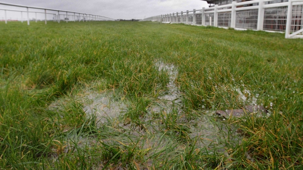 Downpatrick's Wednesday meeting has fallen victim to overnight rain and snow