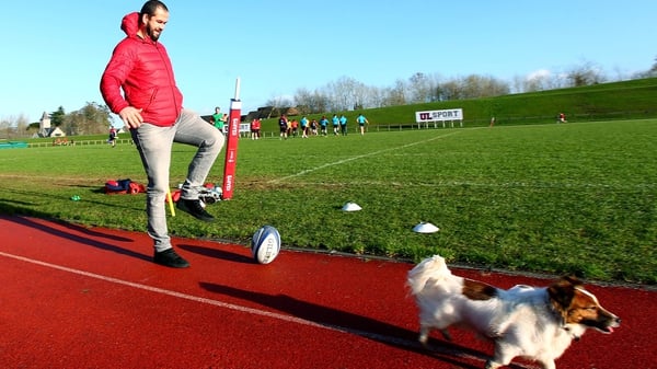 Andy Farrell messing around with a dog at Munster training on Tuesday morning
