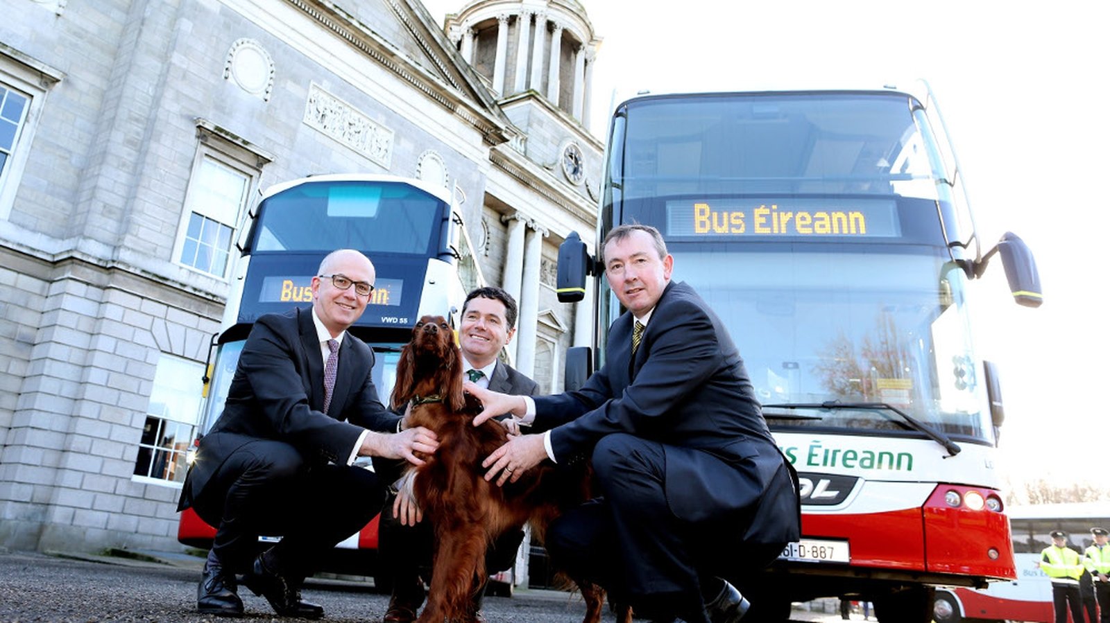 bus eireann dog