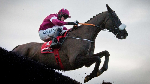 Don Cossack is the Gold Cup favourite