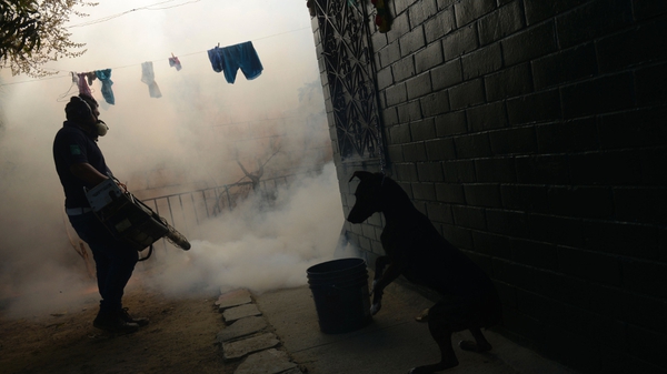 A Health Ministry employee fumigates a home against the Aedes aegypti mosquito to prevent the spread of the Zika virus in El Salvador