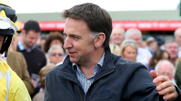 Henry de Bromhead's Captain Guinness is a best price 20-1 for the Arkle