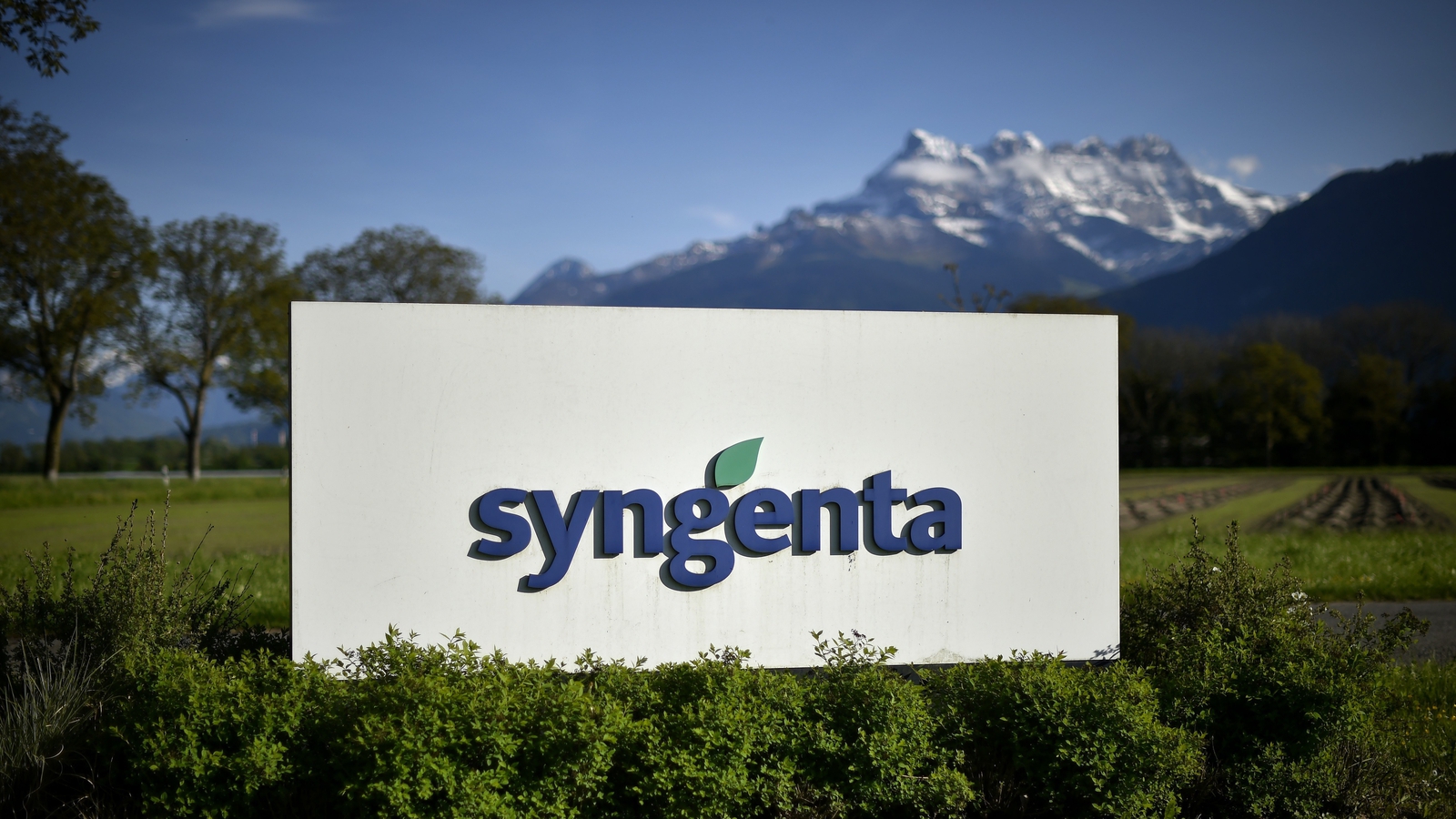 Syngenta