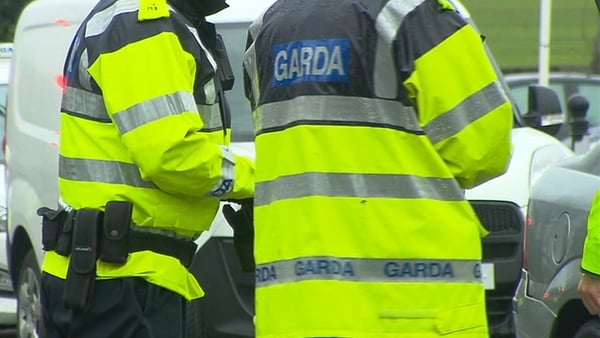 Gardaí said the refugees are being processed by immigration