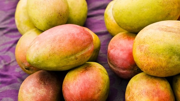 Choosing firm, ripe mangoes is key