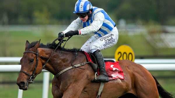 Killultagh Vic is one of the contenders from the Willie Mullins yard