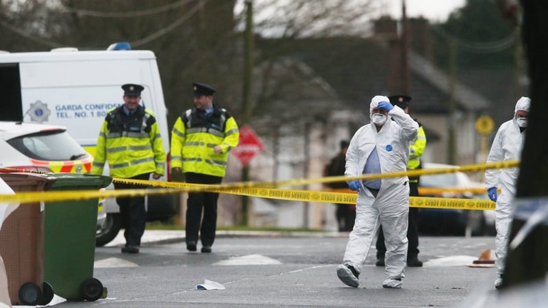 Gardaí at the scene on McKee Road in Finglas