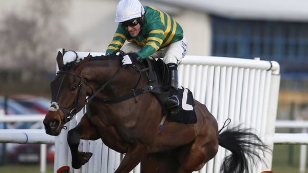 Minella Rocco is fancied for the for the National Hunt Chase