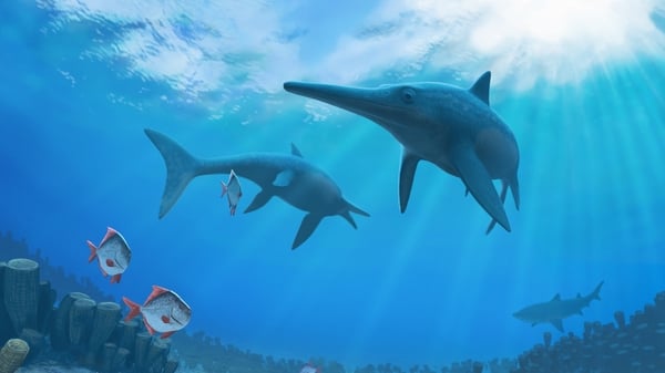 Ichthyosaurs were wiped out because their physical evolution could not keep pace with planetary change (Pic: Andrey Atuchin)