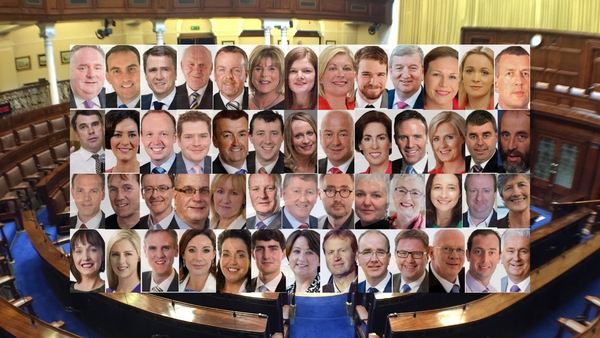 Fianna Fáil accounts for 21 of the first-time TDs in the 32nd Dáil