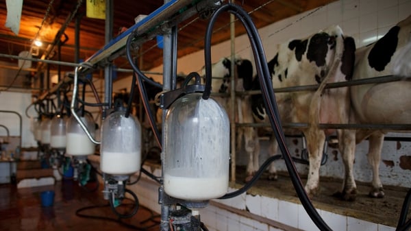 Average dairy farm incomes amounted to just over €86,000 last year, up 65% on the previous year