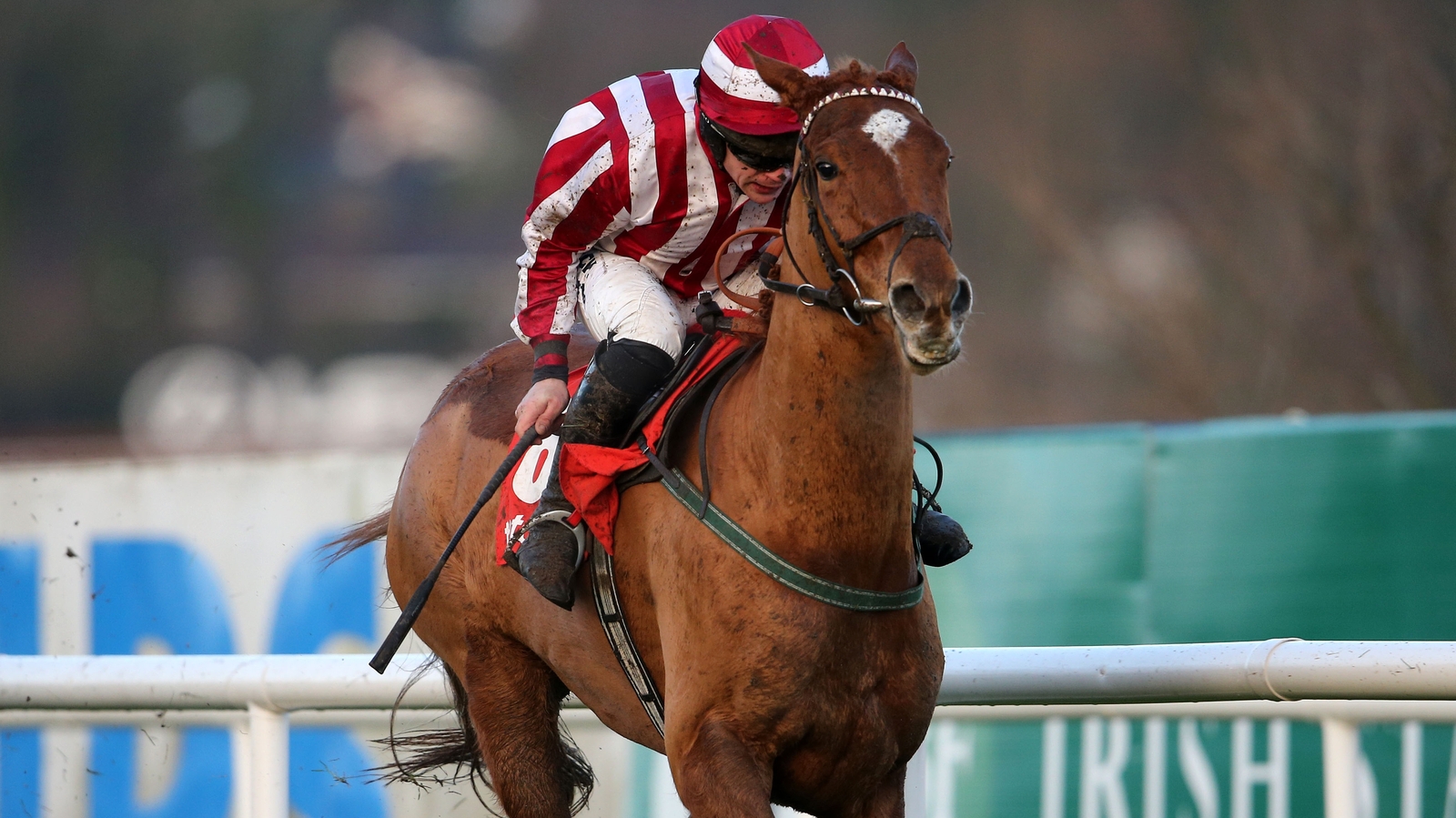 tips-and-previews-cheltenham-day-3