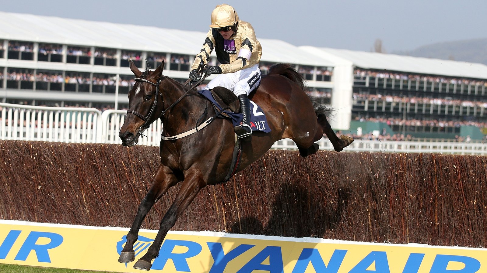 results-and-reports-cheltenham-day-3