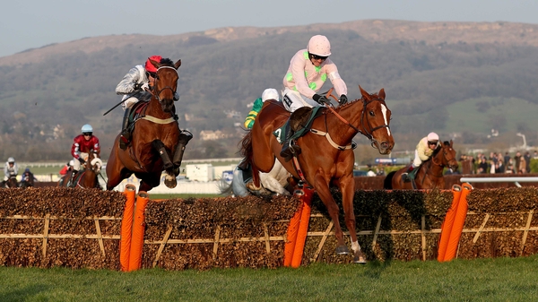 Limini may go in the Champion Hurdle