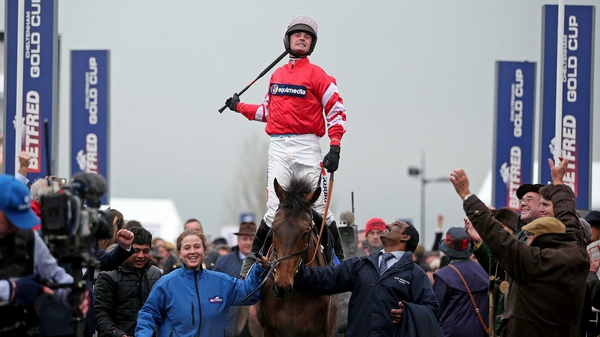 Coneygree has been retired after pulling up at Ascot