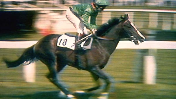 1983: Where is Shergar?