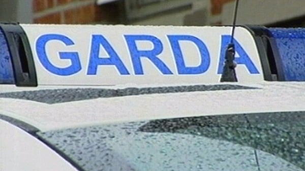 Gardaí are calling for minimum driver training for first responders