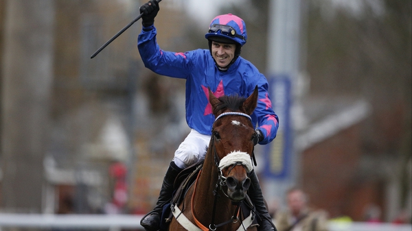 Cue Card may compete again this season