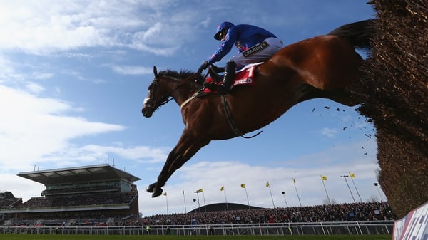 Paddy Brennan and Cue Card on the way to victory