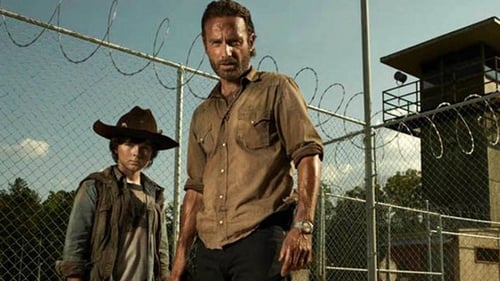Andrew Lincoln is exiting The Walking Dead after series nine