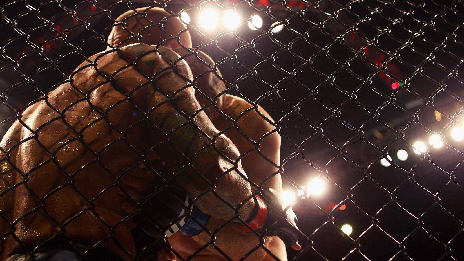 mma-effectively-banned-in-france