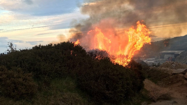 The gorse fire occurred near Barnacullia on Three Rock mountain last night (Pic: @DubFireBrigade)